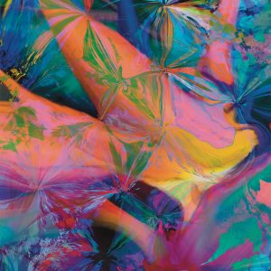 Carnival Bird of Paradise