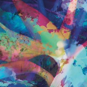 Masquerade Bird of Paradise