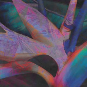 Purple Tattoo Bird of Paradise